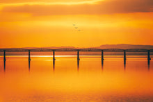 Load image into Gallery viewer, 9471764