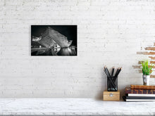 Load image into Gallery viewer, 5982784-1373207