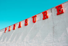 Load image into Gallery viewer, Pleasure