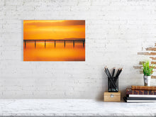 Load image into Gallery viewer, 9471764-3802899
