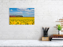 Load image into Gallery viewer, 9471781-3802872
