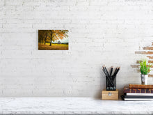 Load image into Gallery viewer, 9471776-3802873
