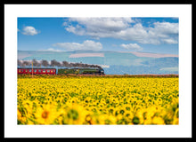 Load image into Gallery viewer, Tornado and Sunflower Fields

