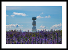 Load image into Gallery viewer, Tay Haze and Echium, Vipers Bugloss
