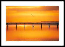 Load image into Gallery viewer, 3 Birds and the Bridge

