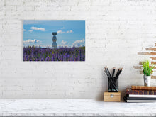 Load image into Gallery viewer, 9471773-3802883
