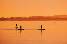 Load image into Gallery viewer, 4 Tay Paddleboarders
