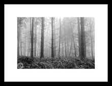 Load image into Gallery viewer, Forest Fog and Ferns in Black and White 4
