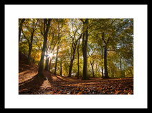 Load image into Gallery viewer, Autumn Sunburst at Reres Hill
