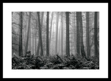 Load image into Gallery viewer, Forest Fog and Ferns in Black and White 2
