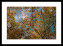 Load image into Gallery viewer, Autumn Canopy
