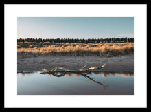 Load image into Gallery viewer, Tentsmuir Driftwood in Landscape
