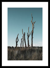 Load image into Gallery viewer, Petrified Trees at Tentsmuir
