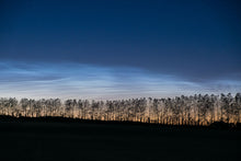 Load image into Gallery viewer, Tree Silhouettes and Noctilucent Trees
